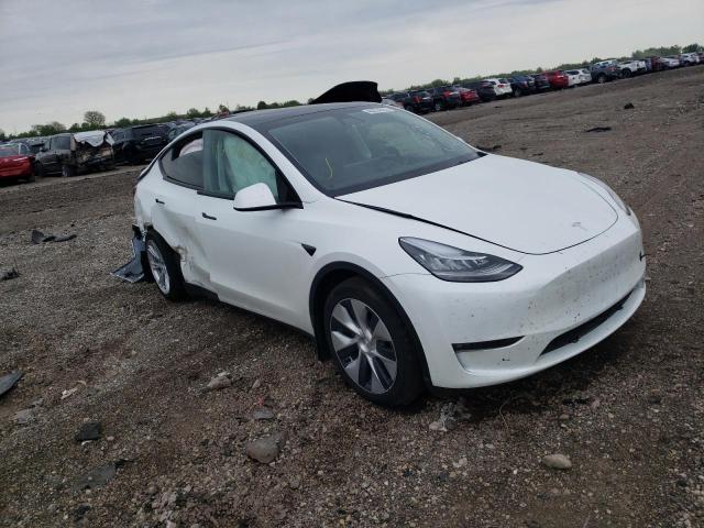 TESLA MODEL Y 2021 5yjygaee0mf203339