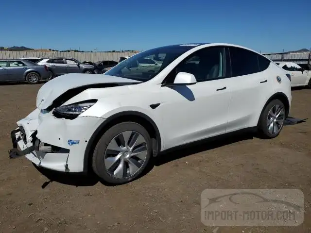 TESLA MODEL Y 2021 5yjygaee1mf160050