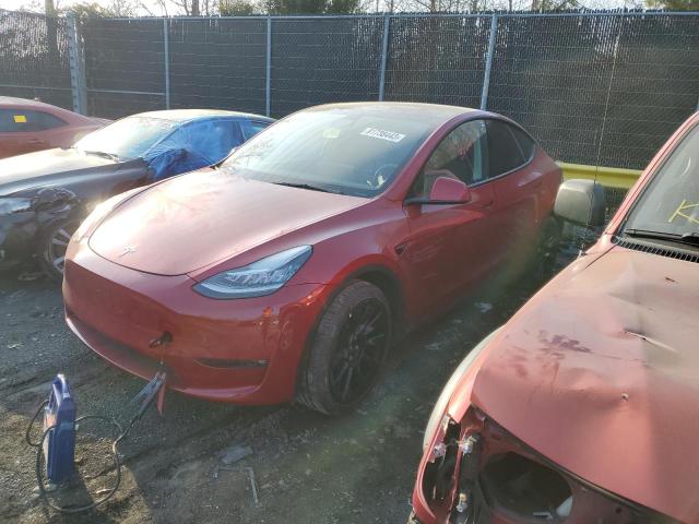 TESLA MODEL Y 2021 5yjygaee1mf191119