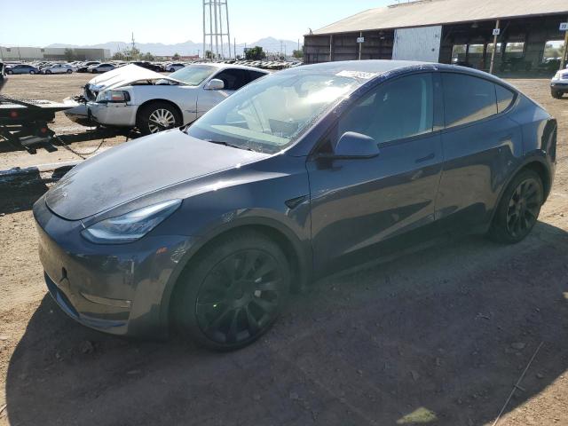 TESLA MODEL Y 2021 5yjygaee1mf196482