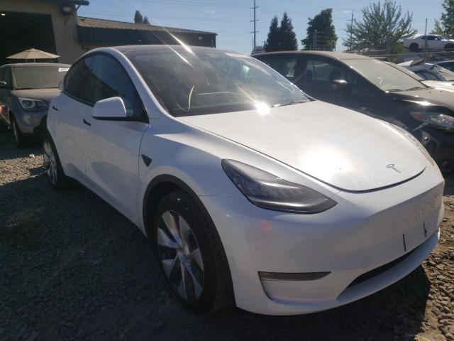 TESLA MODEL Y 2021 5yjygaee1mf196840