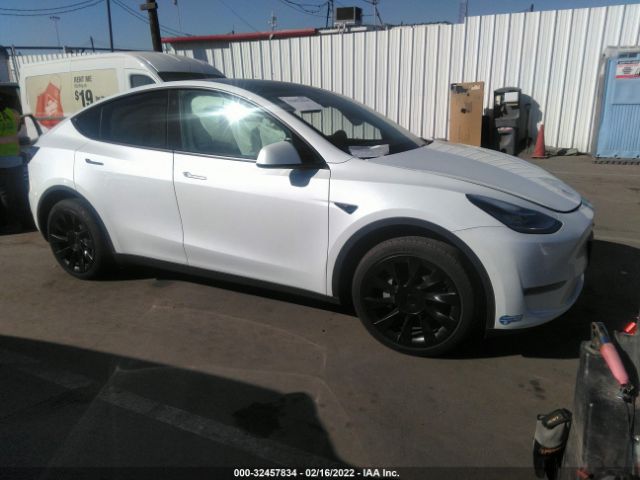 TESLA MODEL Y 2021 5yjygaee1mf217184