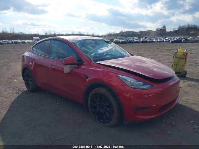 TESLA MODEL Y 2021 5yjygaee1mf251545