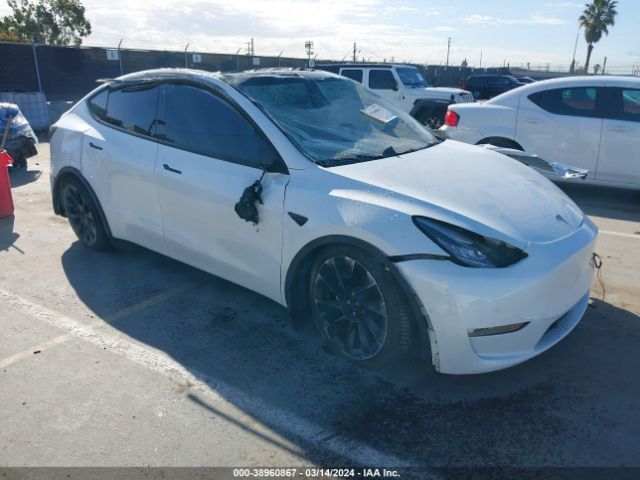 TESLA MODEL Y 2021 5yjygaee1mf282116