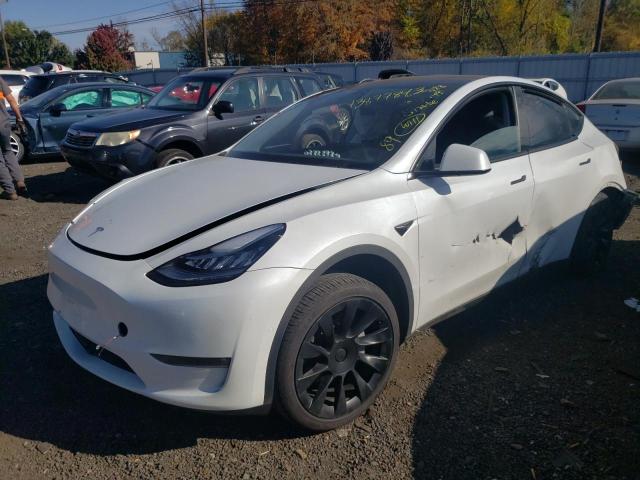 TESLA MODEL Y 2021 5yjygaee1mf285422