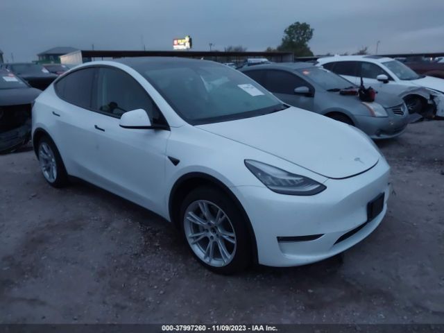 TESLA MODEL Y 2021 5yjygaee2mf113237