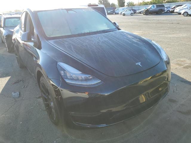 TESLA MODEL Y 2021 5yjygaee2mf151051