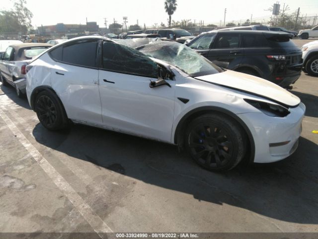 TESLA MODEL Y 2021 5yjygaee2mf158159