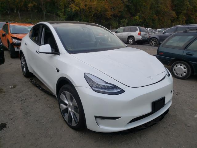 TESLA MODEL Y 2021 5yjygaee2mf239646