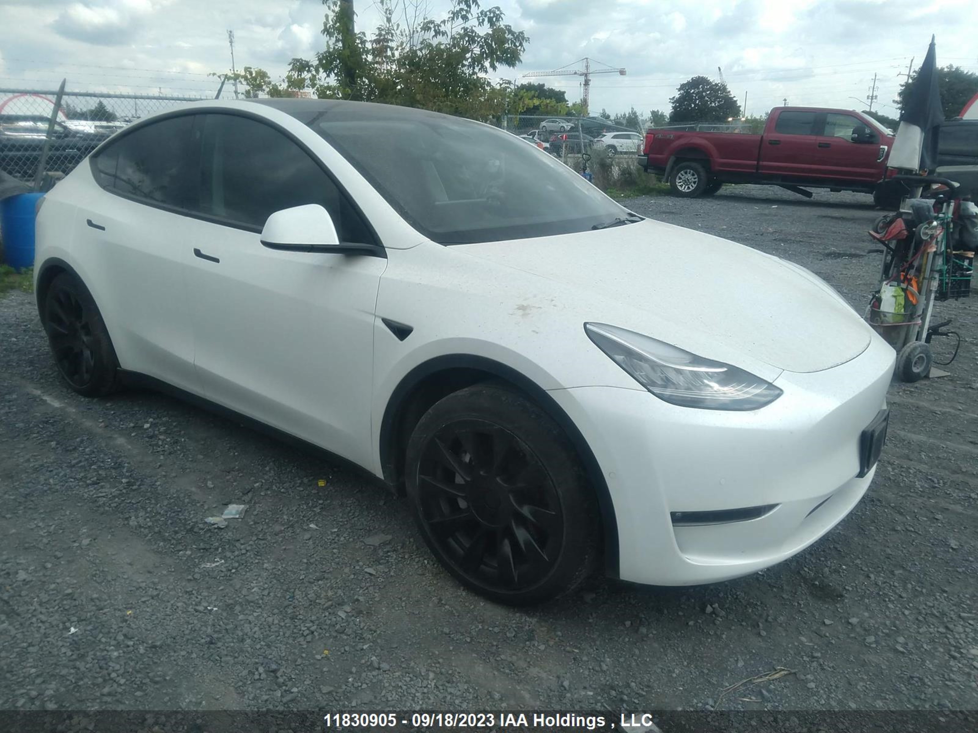 TESLA MODEL Y 2021 5yjygaee3mf232687