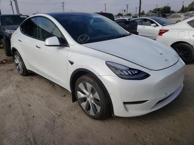 TESLA MODEL Y 2021 5yjygaee3mf244273