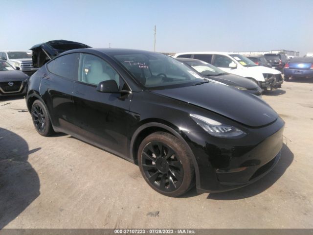 TESLA MODEL Y 2021 5yjygaee3mf259419