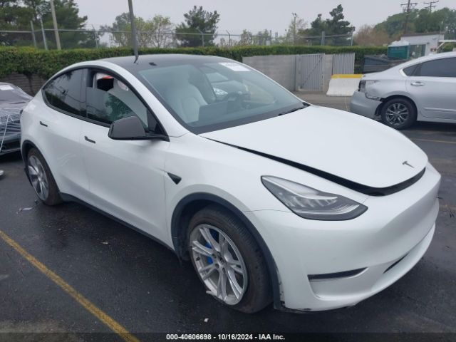 TESLA MODEL Y 2021 5yjygaee3mf275670