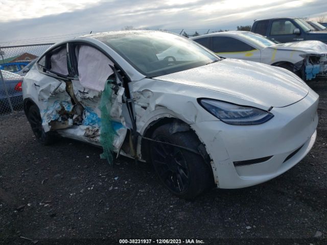 TESLA MODEL Y 2021 5yjygaee3mf287236