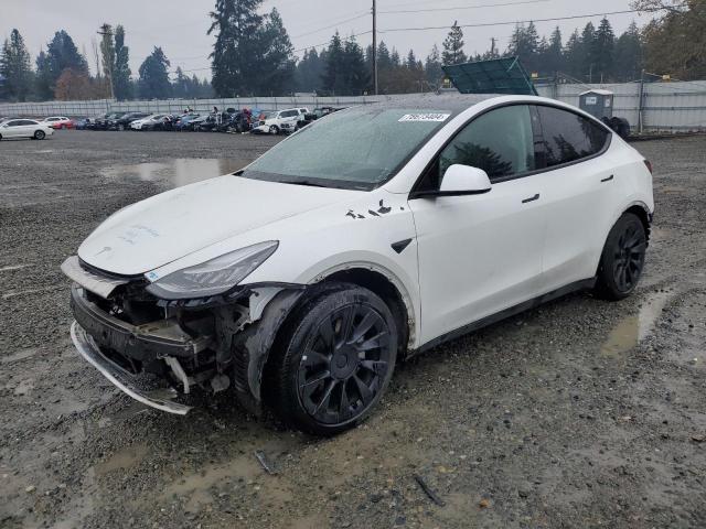 TESLA MODEL Y 2021 5yjygaee4mf142836