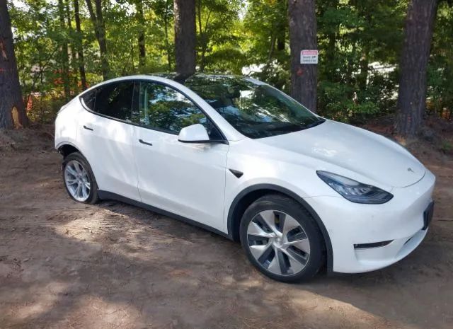 TESLA MODEL Y 2021 5yjygaee4mf146028