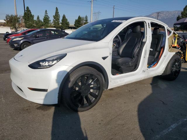 TESLA MODEL Y 2021 5yjygaee4mf159197