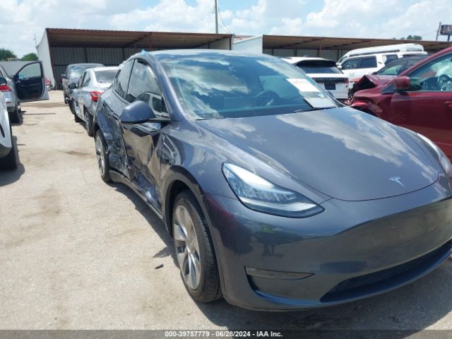 TESLA MODEL Y 2021 5yjygaee4mf180521