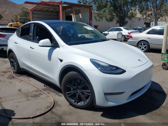 TESLA MODEL Y 2021 5yjygaee4mf191809