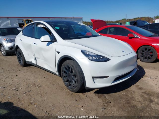 TESLA MODEL Y 2021 5yjygaee4mf208866