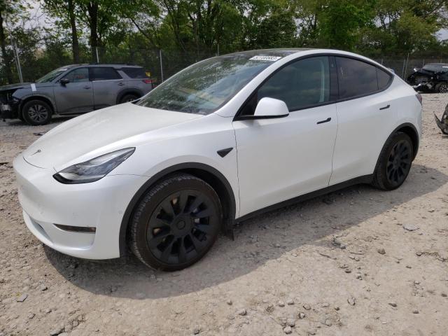 TESLA MODEL Y 2021 5yjygaee4mf297516