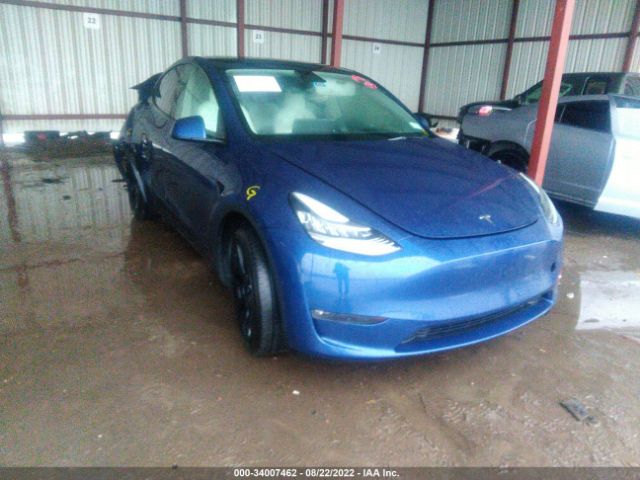 TESLA MODEL Y 2021 5yjygaee5mf144370