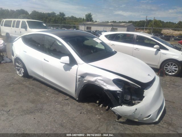 TESLA MODEL Y 2021 5yjygaee5mf149794