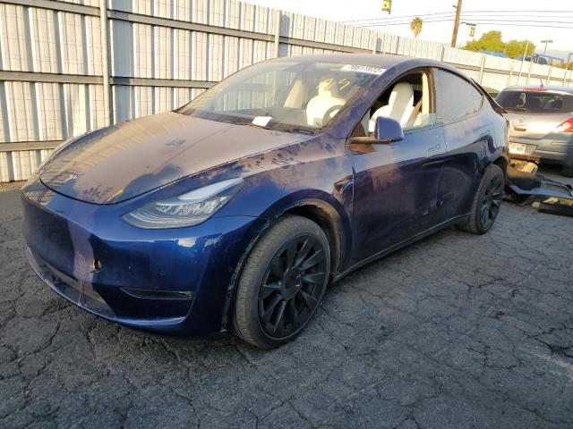 TESLA MODEL Y 2021 5yjygaee5mf158026