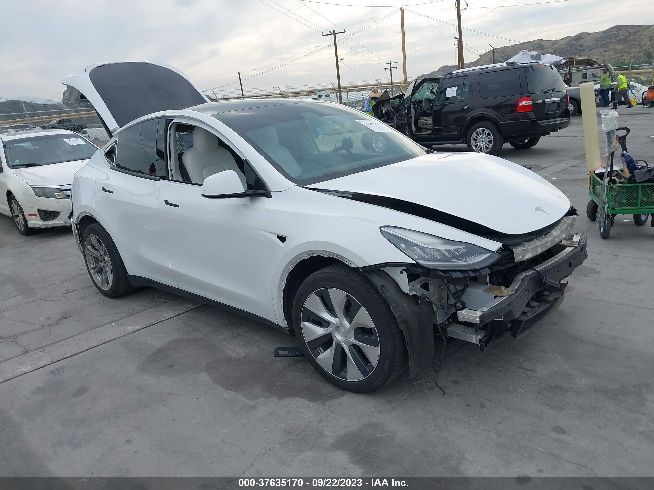 TESLA MODEL Y 2021 5yjygaee5mf158205