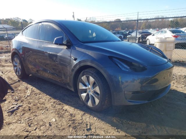 TESLA MODEL Y 2021 5yjygaee5mf179653