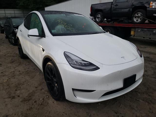 TESLA MODEL Y 2021 5yjygaee5mf194251