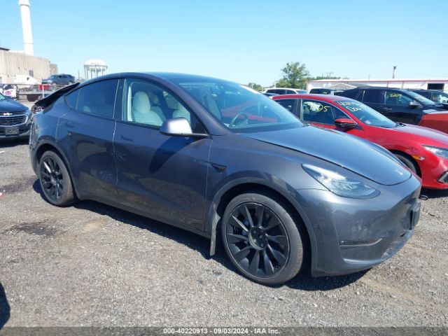 TESLA MODEL Y 2021 5yjygaee5mf201182