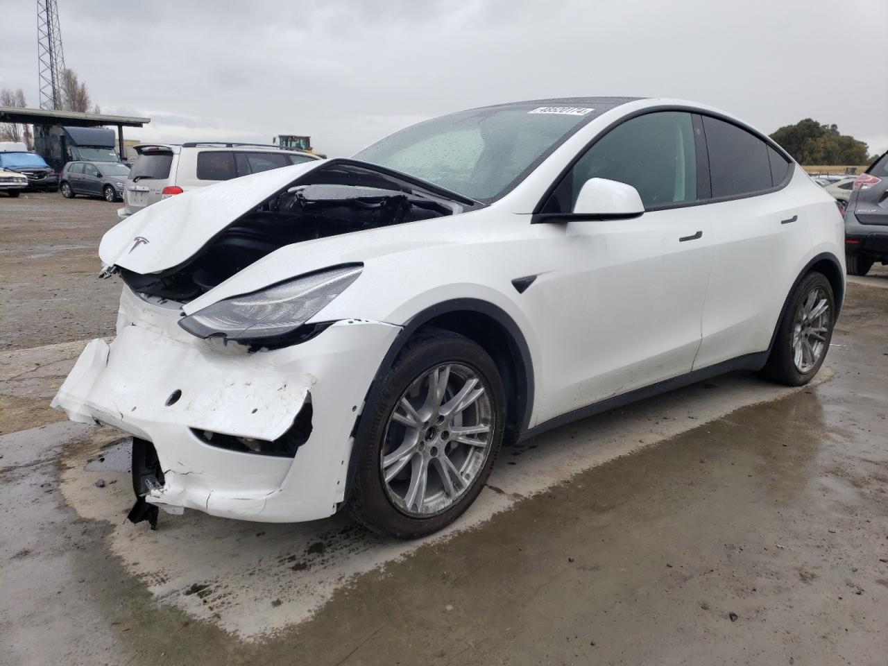 TESLA MODEL Y 2021 5yjygaee5mf223151