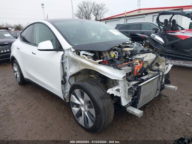 TESLA MODEL Y 2021 5yjygaee5mf232741