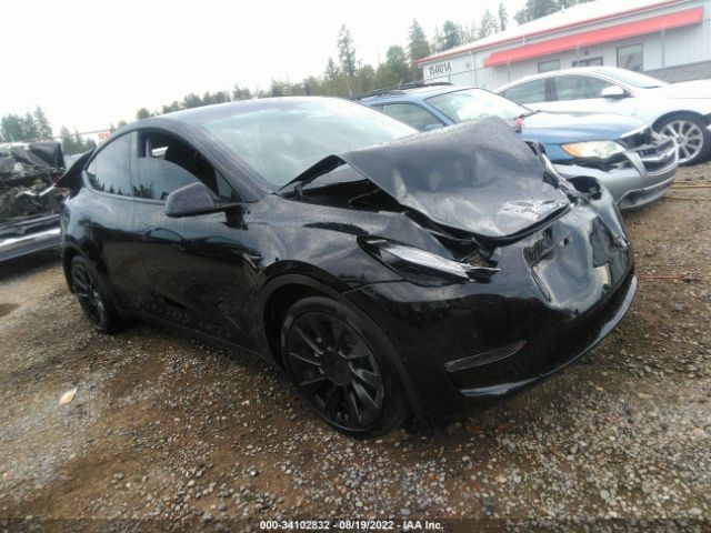 TESLA MODEL Y 2021 5yjygaee5mf265903