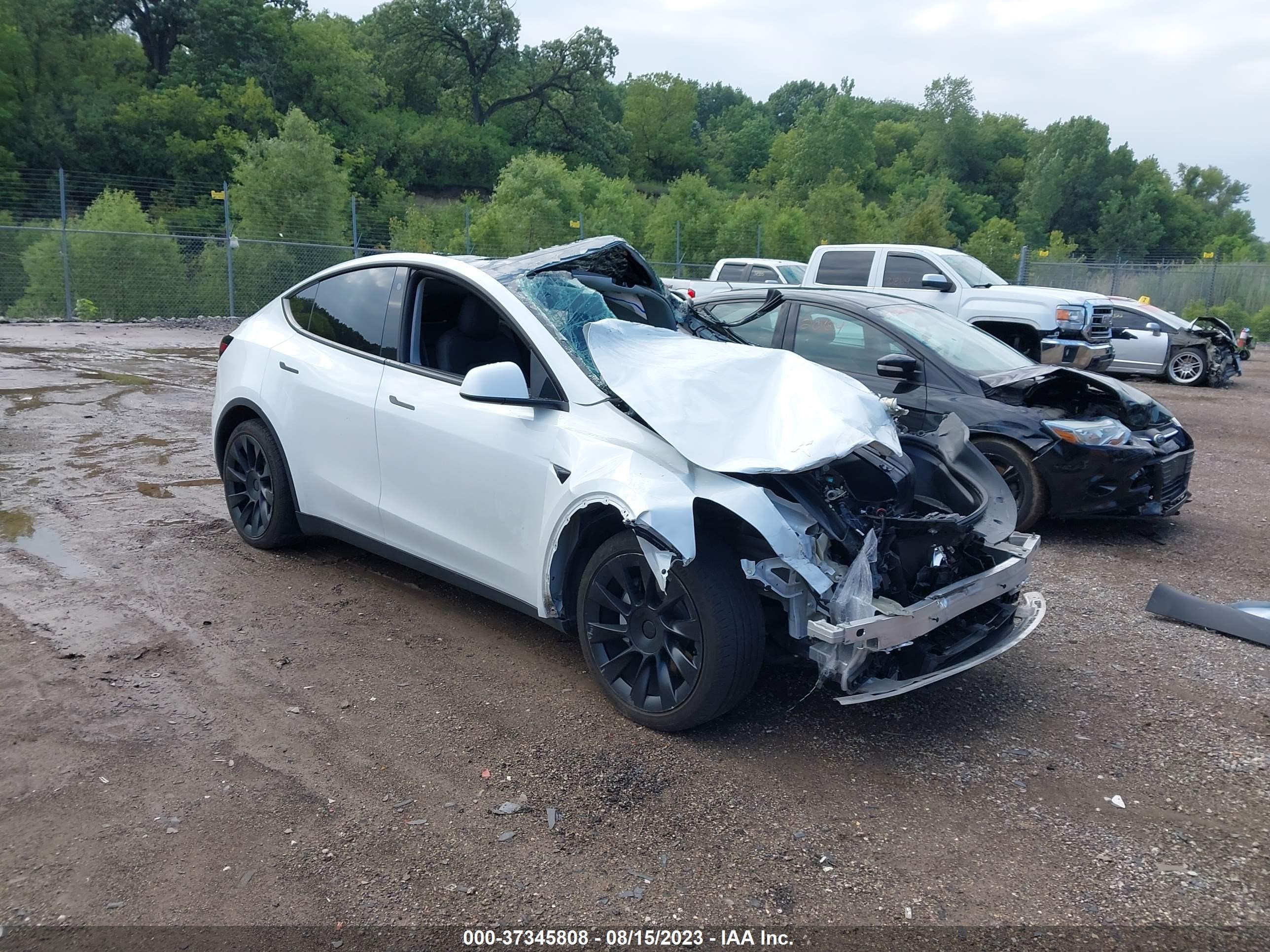 TESLA MODEL Y 2021 5yjygaee5mf295399