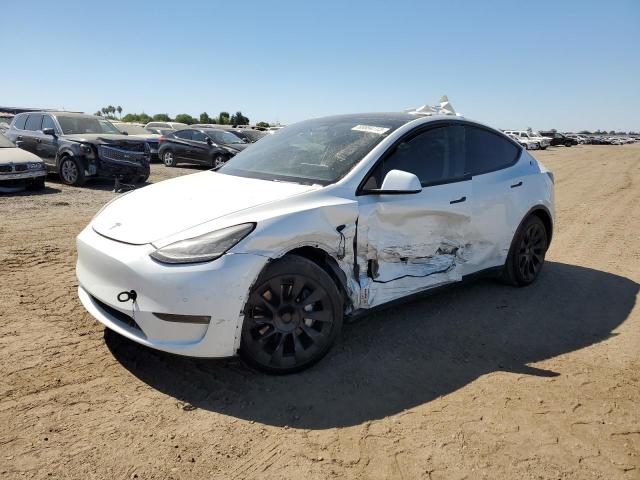 TESLA MODEL Y 2021 5yjygaee5mf297475