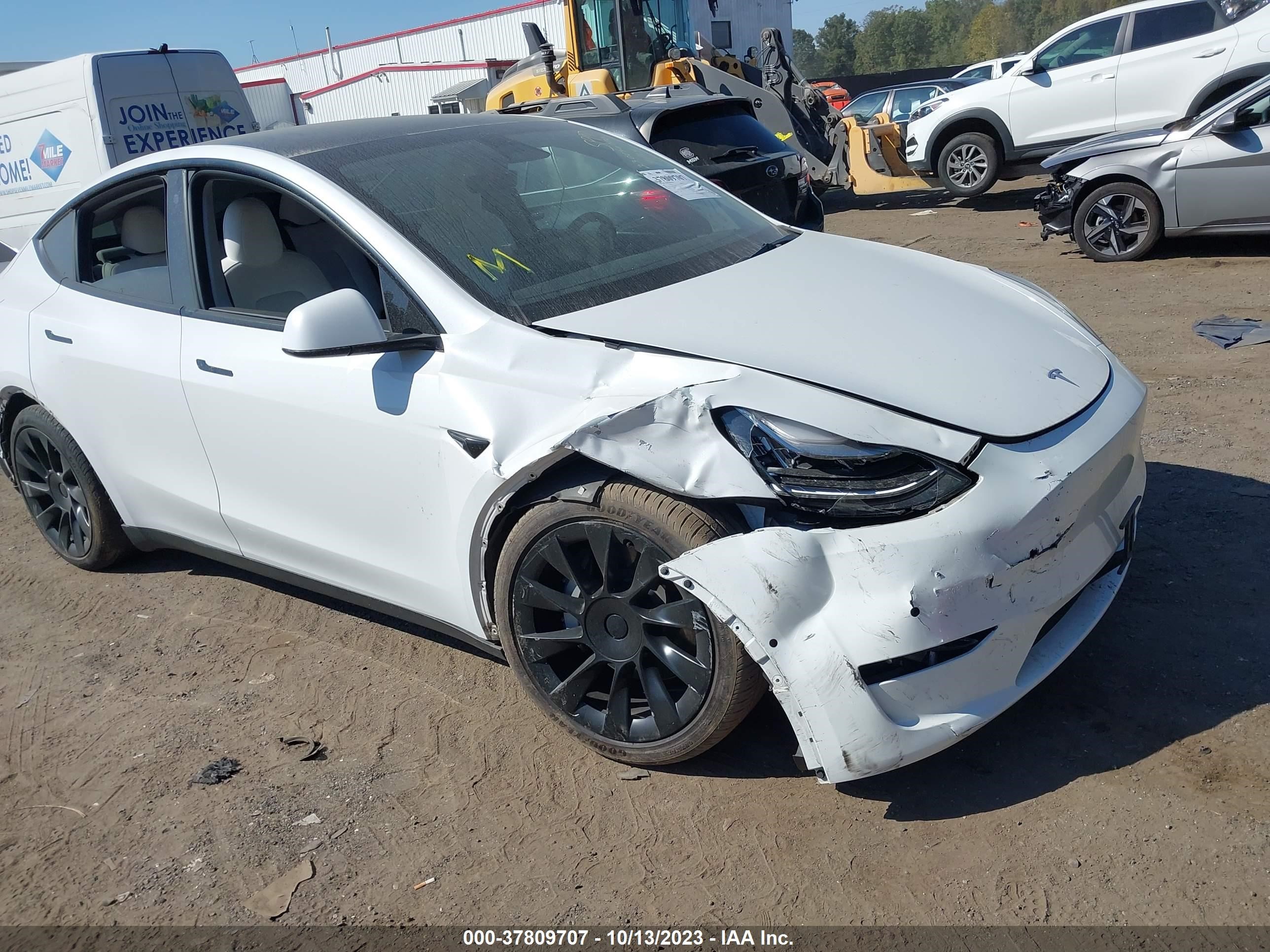 TESLA MODEL Y 2021 5yjygaee6mf144331