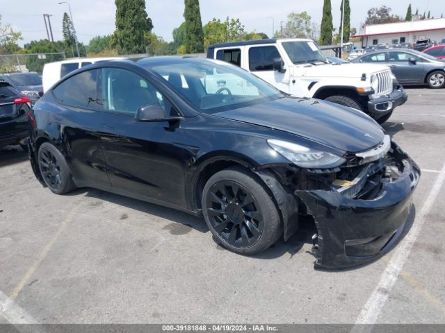 TESLA MODEL Y 2021 5yjygaee6mf159198