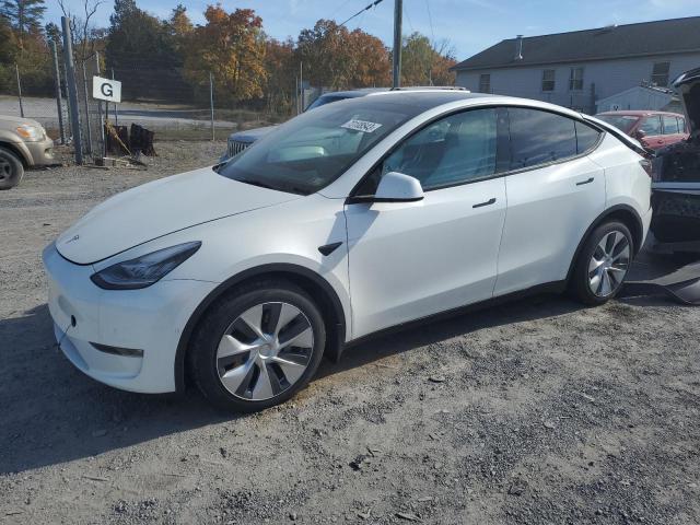 TESLA MODEL Y 2021 5yjygaee6mf293791