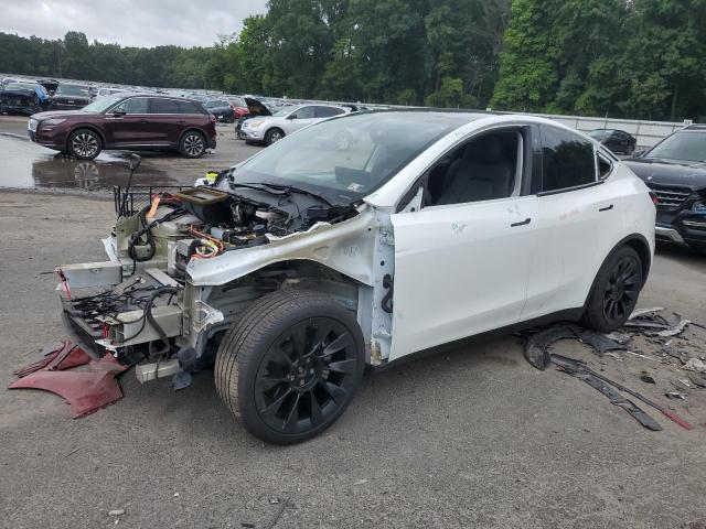 TESLA MODEL Y 2021 5yjygaee7mf174891