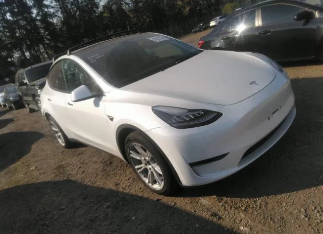 TESLA MODEL Y 2021 5yjygaee7mf237780