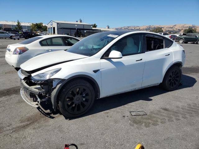 TESLA MODEL Y 2021 5yjygaee7mf283173