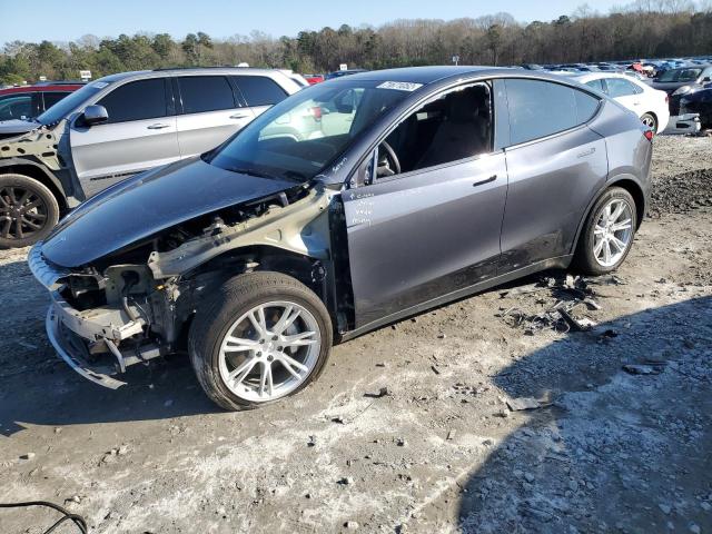 TESLA MODEL Y 2021 5yjygaee8mf184619