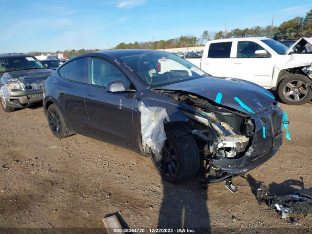 TESLA MODEL Y 2021 5yjygaee8mf200656