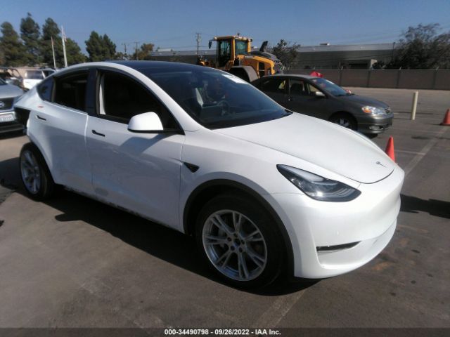 TESLA MODEL Y 2021 5yjygaee8mf281495