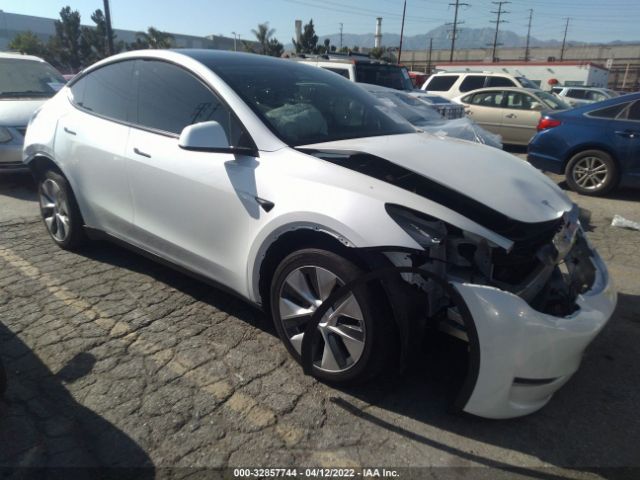 TESLA MODEL Y 2021 5yjygaee9mf113297