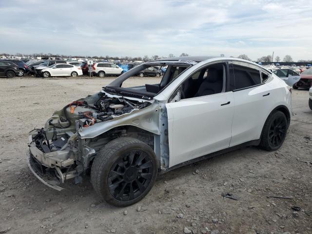 TESLA MODEL Y 2021 5yjygaee9mf143884