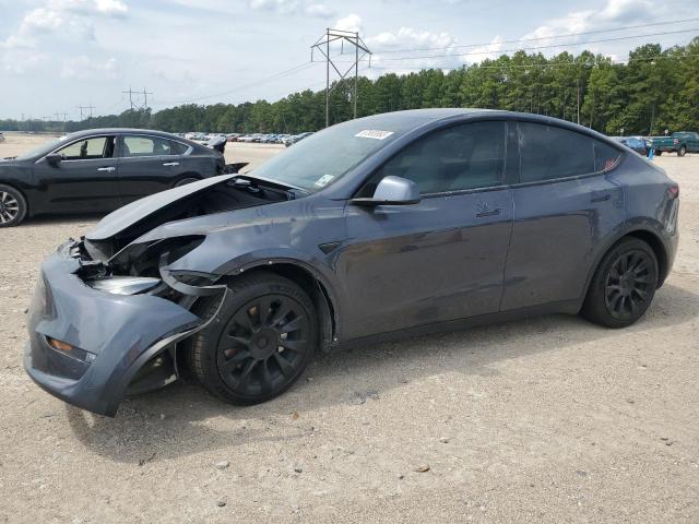 TESLA MODEL Y 2021 5yjygaeexmf116080