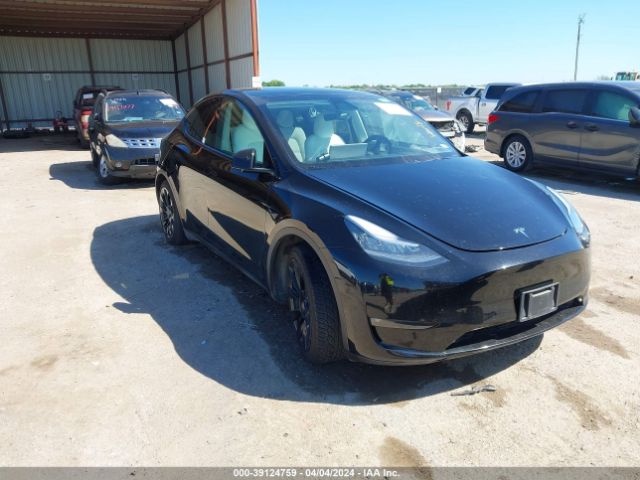 TESLA MODEL Y 2021 5yjygaeexmf144364